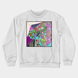 Satellite city urban mapping landscape collage ecopop Crewneck Sweatshirt